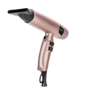 GAMMA HYBRID DRYER #GP102G